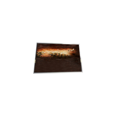 Buon prezzo P0700WSF2MB00 7.0 pollici 1024*600 schermo LCD per l'industria in linea