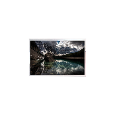 Buon prezzo P1010WUF1MEAA Pannello LCD TFT A-Si da 10,1 pollici in linea