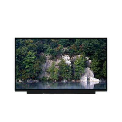 Buon prezzo PV173FHM-N80 17,3 pollici 1080p LCD Display in linea