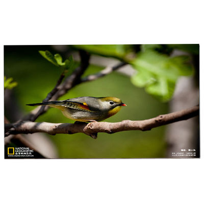 Buon prezzo 24.0 pollici 1920*1200 M240UAN02.1 schermo LCD in linea