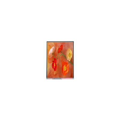 Buon prezzo Display LCD originale C070AWP9 R0 7,0 pollici in linea