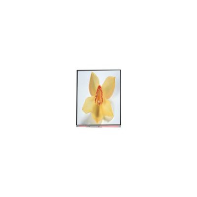 Buon prezzo C050SWAN-0 5,0 pollici 720*1280 LCD in linea