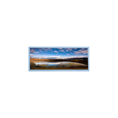 Buon prezzo M102AWF2 R3 schermo LCD da 10,3 pollici pannello LCD TFT per display automobilistici in linea
