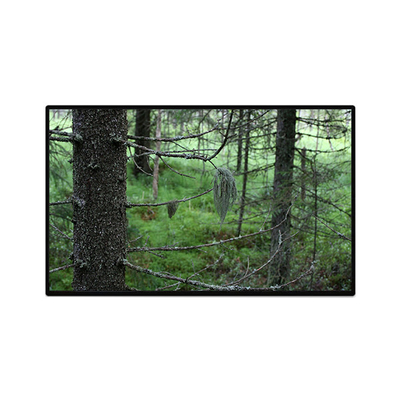 Buon prezzo TV101WUB-NW1-D9P0 10,1 pollici 1200*1920 Display LCD in linea