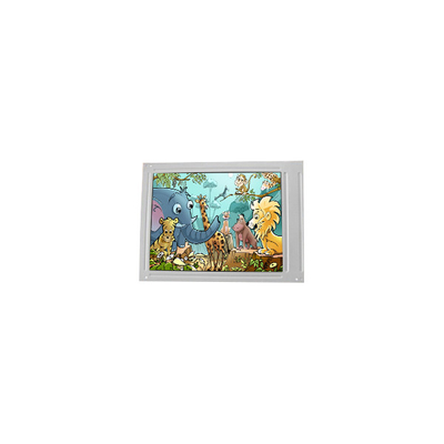 Buon prezzo F055A25-403 pannello a schermo LCD da 5,5 pollici 720*1440 schermo LCD in linea