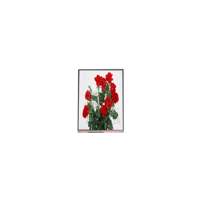 Buon prezzo C065SWR1-0 pannello LCD da 6,5 pollici 720*1560 display LCD in linea