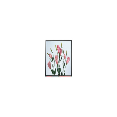 Buon prezzo 5.7 pollici 720*1520 C057SWR2-0 schermo LCD per telefono cellulare in linea