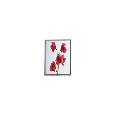 Buon prezzo 480*960 C060SWY7-0 6,0 pollici schermo LCD in linea
