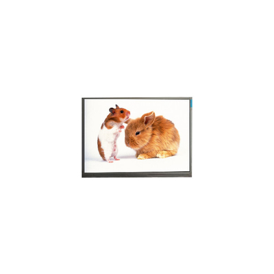 Buon prezzo F060A21-603 6.0 pollici 720*1440 LCD Display Module per telefono cellulare in linea