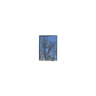Buon prezzo 5.5 pollici LS055T1SX29 1080*1920 FHD display LCD Pannello in linea