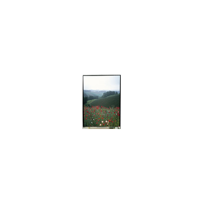 Buon prezzo 5.5 pollici LS055B1SX01B pannello LCD con touch per telefono cellulare in linea