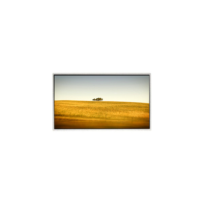 Buon prezzo Vendita a caldo 10,1 pollici TT101WSQ-N10 1024*600 schermo LCD per Netbook PC in linea