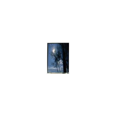 Buon prezzo LS055T1SX09 5,5 pollici 1080*1920 TFT-LCD LCD Screen in linea