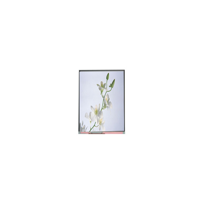 Buon prezzo C060SWZ1-0 NUOVO Display LCD da 6,0 pollici 540*960 in linea