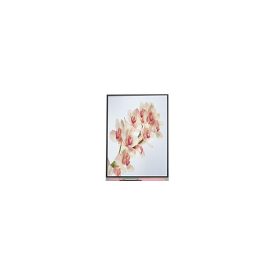 Buon prezzo C060SWA4-0 NUOVO Display LCD IPS da 6,0 pollici in linea