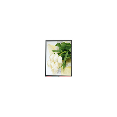 Buon prezzo 5.5 pollici C055SWY2 R0 LCD Screen Panel in linea