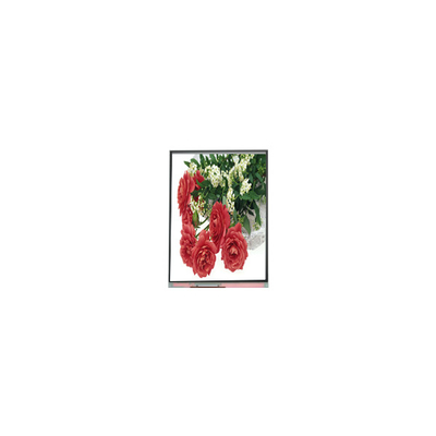 Buon prezzo 5.5 pollici C055SWY2-1 schermo LCD per telefono cellulare in linea