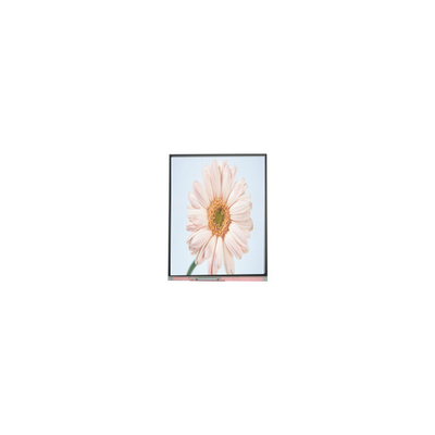 Buon prezzo nuovo modulo LCD 720*1280 C050HWA5-1 da 5,0 pollici in linea