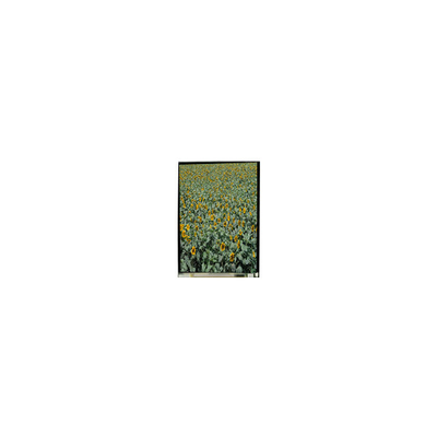 Buon prezzo 720*1280 LS053K3SX01 5,3 pollici tft display LCD LCD schermo per telefono cellulare in linea