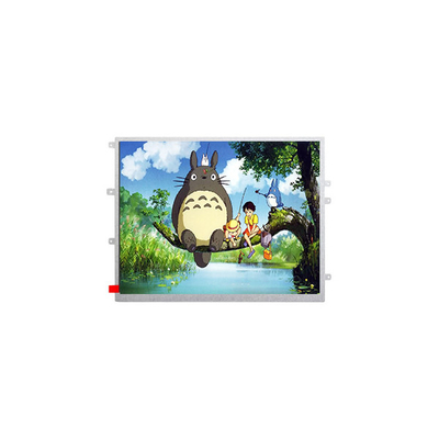 Buon prezzo 1024*768 TM097TFH02 9,7 pollici schermo LCD TFT pannello LCD in linea