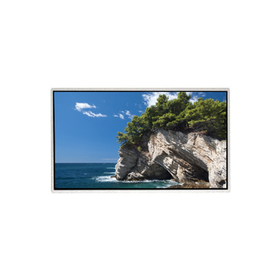 Buon prezzo 1440*900 19,0 pollici HM190WG3-700 60Hz LCD Screen Panel in linea