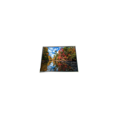 Buon prezzo 5.0 pollici 480 * 272 HSD050B9W1-A00 schermo LCD per la navigazione portatile in linea