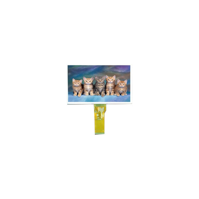 Buon prezzo TM070RDH11 7,0 pollici 800*480 schermo LCD in linea