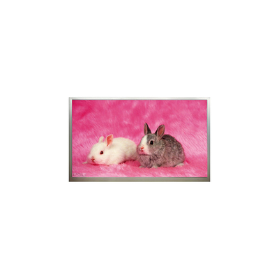 Buon prezzo Nuovo display LCD da 23,6 pollici M236H3-P02 1920*1080 in linea