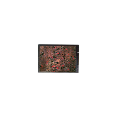 Buon prezzo Schermo LCD 10,4 pollici 800*600 C0A411-01D in linea