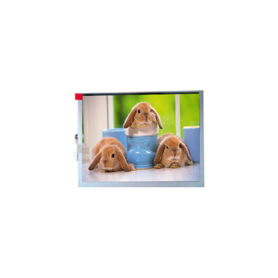 Buon prezzo Nuovo TM070SDH03 800*600 7.0 pollici pannello TFT-LCD in linea