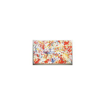 Buon prezzo Modulo LCD LVDS originale da 8,9 pollici N089L6-L04 1024*600 in linea