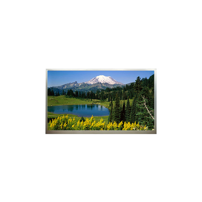 Buon prezzo 18.4 pollici 1920*1080 Display LCD N184H4-L04 in linea