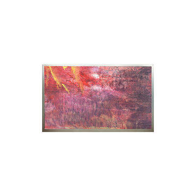 Buon prezzo Display LCD originale da 22,0 pollici 1680*1050 Risoluzione M220Z1-PS3 in linea