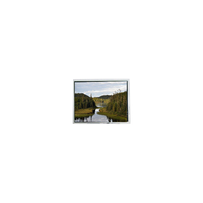 Buon prezzo Nuovo pannello display LCD da 12,1 pollici EV121WXM-N80 risoluzione 1280*800 in linea