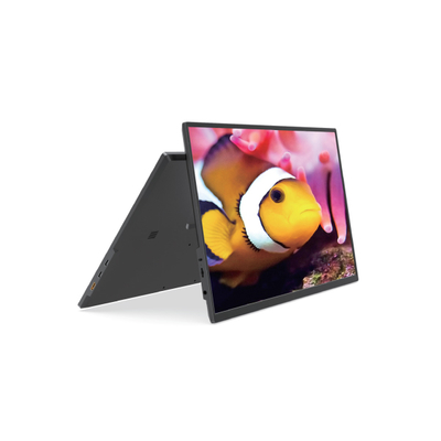 Buon prezzo Monitor portatile FHD da 17,3