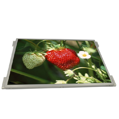 Buon prezzo Esposizione LCD a 10,4 pollici industriale di G104XVN01.0 1024x768 IPS in linea