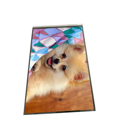 Buon prezzo Esposizione LCD a 8,0 pollici B080EAK02.2 di AUO 800×1280 TFT LCD in linea